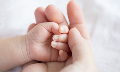 圖片關(guān)鍵詞 圖片關(guān)鍵詞